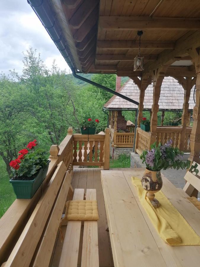 Pensiunea Casuta Din Deal Moisei Exterior photo