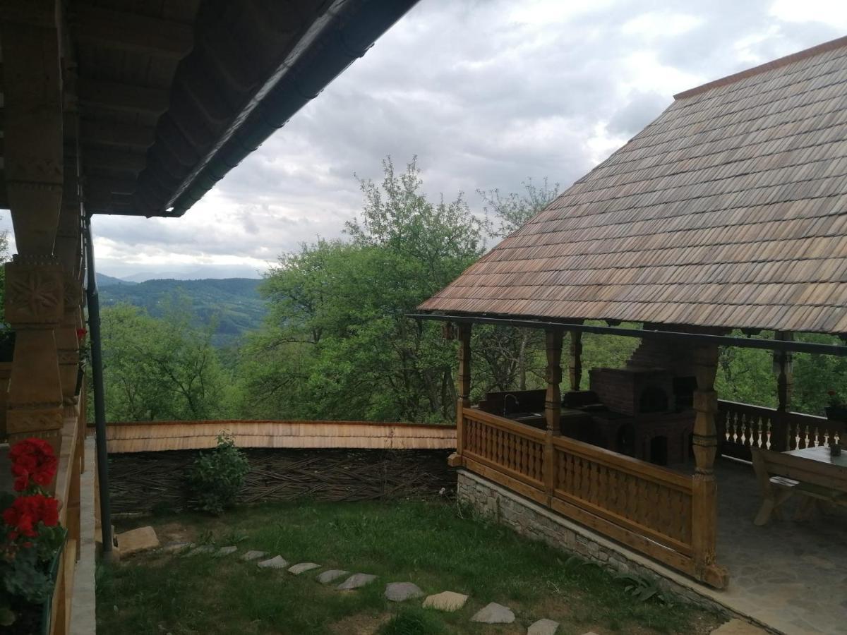 Pensiunea Casuta Din Deal Moisei Exterior photo